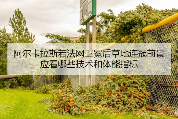 a-er-ka-la-si-ruo-fa-wang-wei-mian-hou-cao-di-lian-guan-qian-jing-ying-kan-na-xie-ji-shu-he-ti-neng-zhi-biao-2-979.jpg