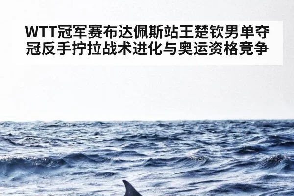 WTT冠军赛布达佩斯站王楚钦男单夺冠反手拧拉战术进化与奥运资格竞争