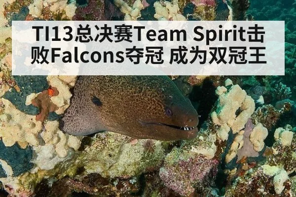 TI13总决赛Team Spirit击败Falcons夺冠 成为双冠王